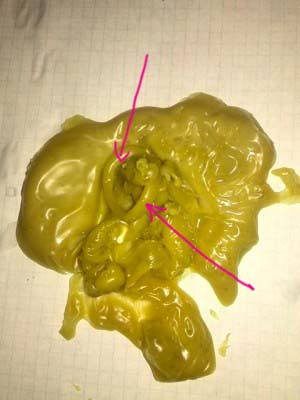 ОТЛИВКИ ВОСКОМ - IMG_20160330_171440.jpg