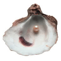 Жемчуг - pearl-rakushka.jpg