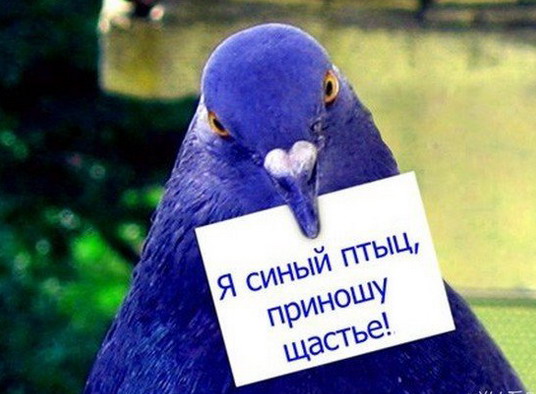 Рукопись неизвестного поэта итоги 26.02 - ptiz.jpg