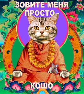 Зверь : Подводим итоги стр 3  - VrSm0hFJqkk.jpg
