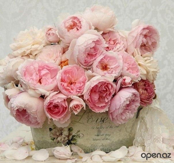 olya_ya - -9gvupQfh30.jpg