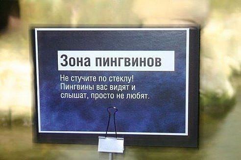 Черный юмор - ZYwgoyjWTQ0.jpg