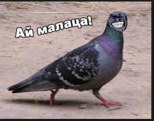 О причинах помогать другим людям. Какие у вас? - нн.jpg