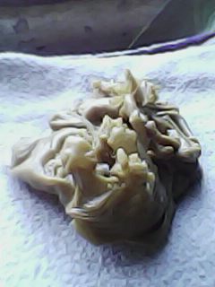 ОТЛИВКИ ВОСКОМ - IMG0042A.jpg