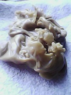 ОТЛИВКИ ВОСКОМ - IMG0040A.jpg