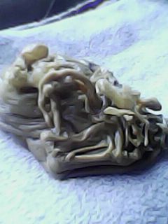 ОТЛИВКИ ВОСКОМ - IMG0039A.jpg