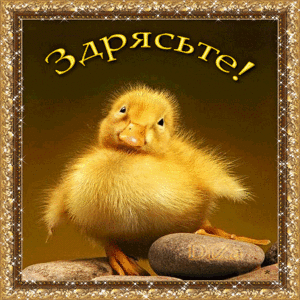 РУКА Итоги подведены  - 97fdofoa8422a577o9f70bo9194ofcdls.gif