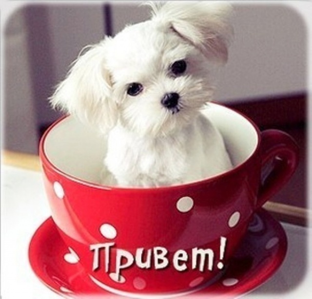 Утро начинается с него - до 28.10-ИТОГИ  - images_7317.jpg