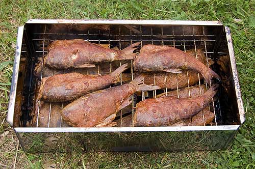 Воспоминания о лете.3.Подарок.ОТВЕТ на 6 стр. - mini-koptilna.jpg