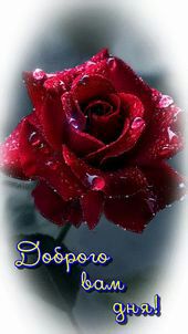 Помощь в толковании раскладов ТАРО - 3 - IMG-20171122-WA0002.jpg