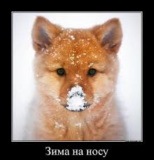 Конкурс Зима на носу ИТОГИ СТ.4 - Без названия (4).jpeg