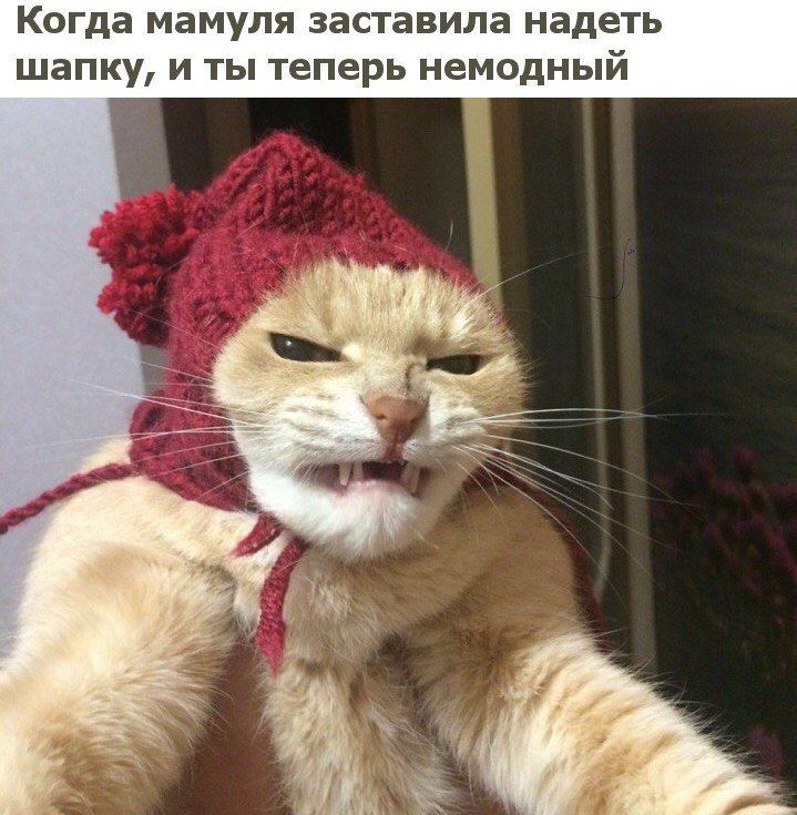 Конкурс Зима на носу ИТОГИ СТ.4 - 931501704a3711bfad9dc49c514j.jpg