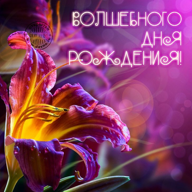большое спасибо Вам, Кали-Юга  - 1baf363d5eca.jpg