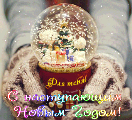 Новогодняя заливка есть ответ  - 4689-Abissinka-heErYR8bdG.gif