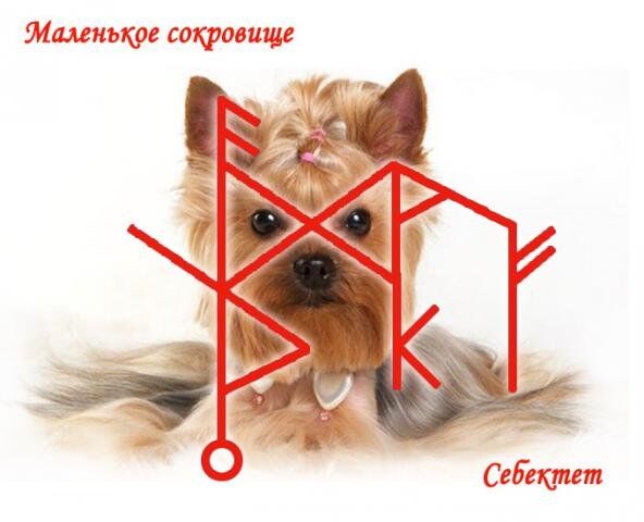 Став Маленькое сокровище Автор:Себектет - dog_preview.jpeg