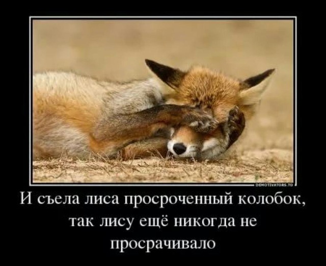 Настроение.... - апрарапр.jpg