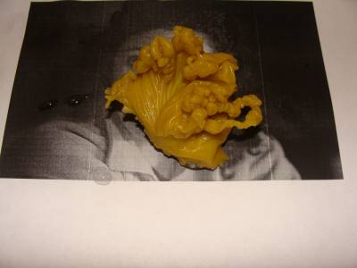 ОТЛИВКИ ВОСКОМ - s8315846.jpg