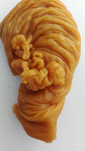 ОТЛИВКИ ВОСКОМ - витядиа3.14.04 - копия.jpg