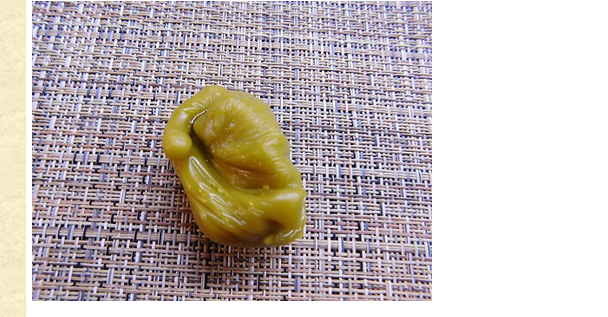 ОТЛИВКИ ВОСКОМ - 1045.png