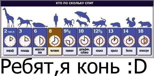 Сколько времени вы спите? - время сна.jpg