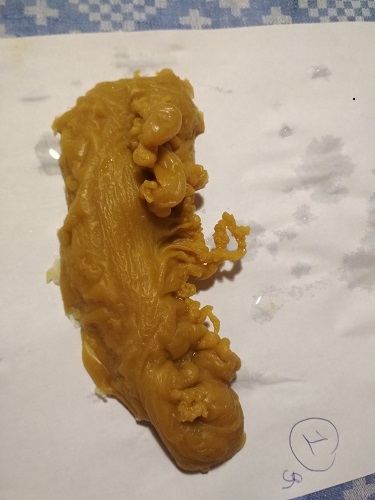 ОТЛИВКИ ВОСКОМ - IMG_20181023_180936.jpg