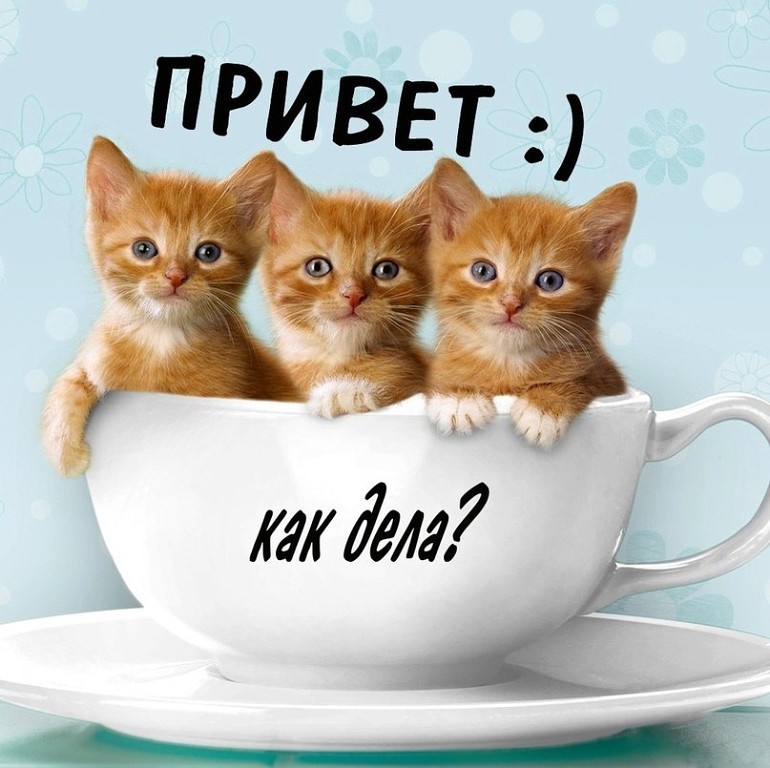 Сложный эксперемент. Ответ дан - image.jpg