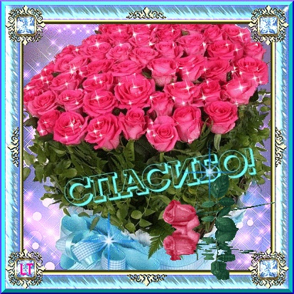 Селька - 2232744.jpg