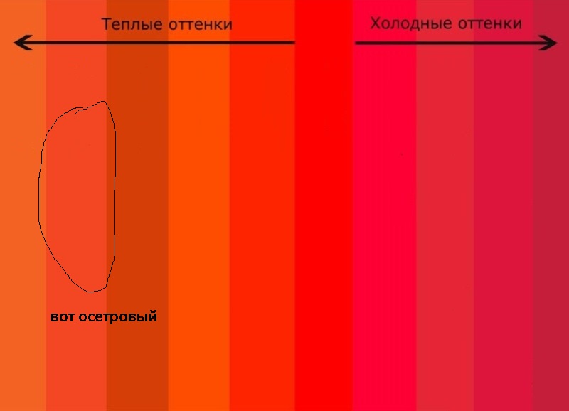 Штриховка Ответ на 5 стр. - cvetovye_ottenki_1.jpg