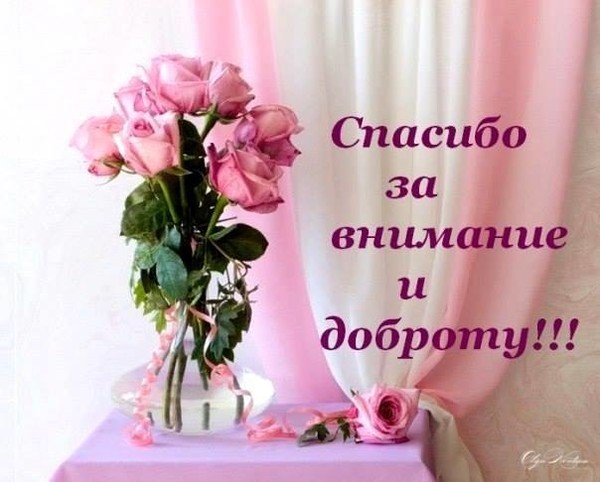 Благодарность Fiolina - 2019-02-22-16-30-23.jpg
