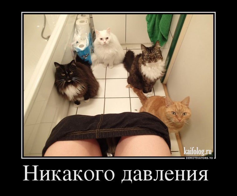 Заливочка:ЗООПАРК -ответ-2с. - 1391490650_029.jpg
