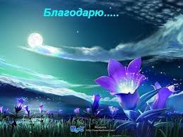 warriorspirit, благодарю  - images.jpeg