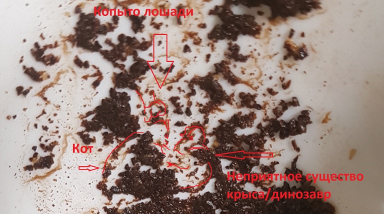 Гадание на кофе. Как гадать, символика, примеры, трактовка. - кот и крыса.jpg