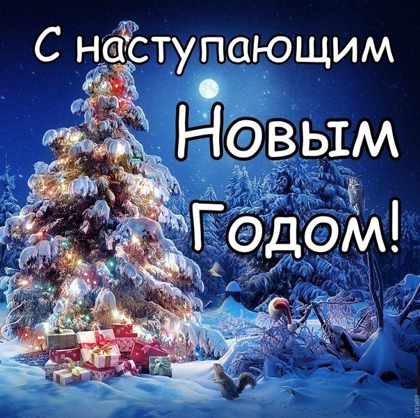 JulijaNi  - IMG-20191231-WA0009.jpg
