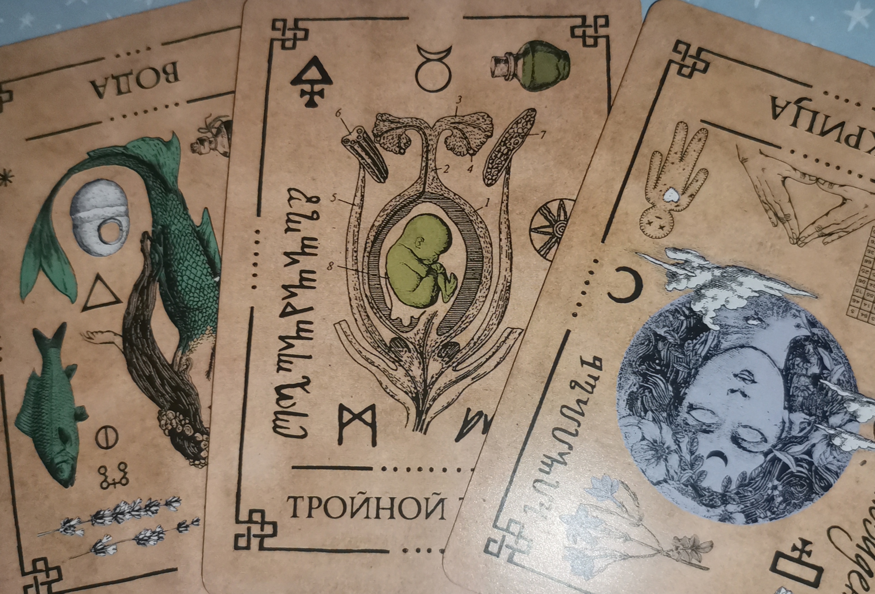 Первая тренировка на форуме. До 21.04 Оракул теней и классическая колода Уэйт - IMG_20200417_200250.jpg