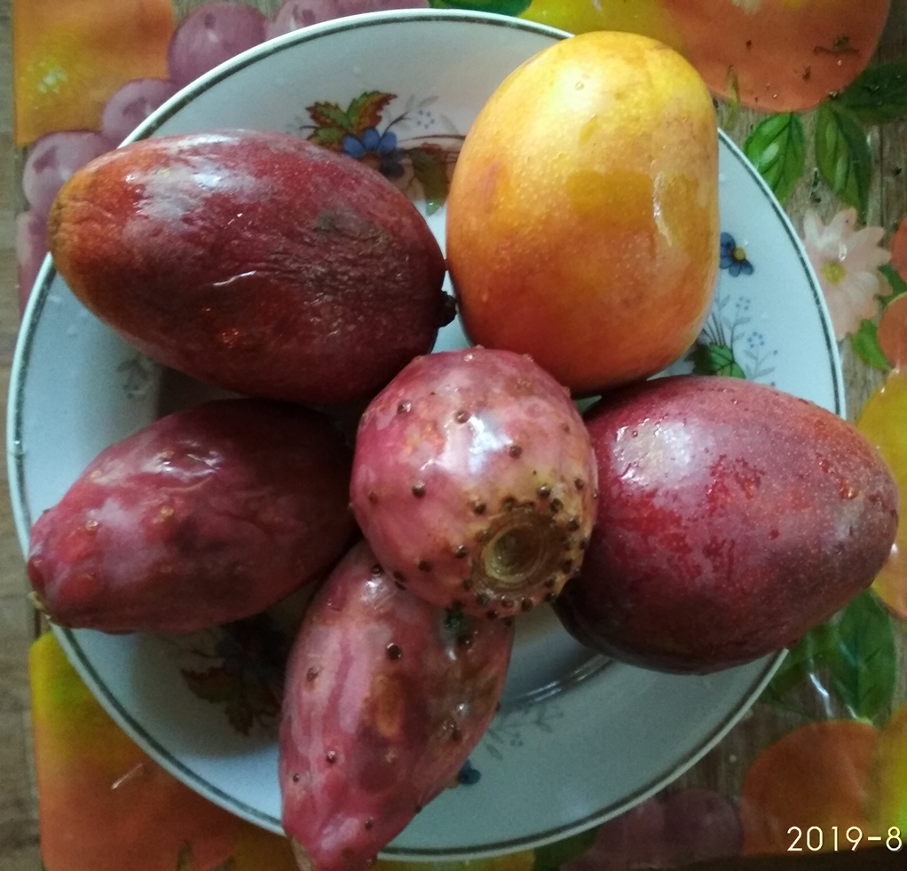 Черно-белая неизвестность ИТОГИ стр 2. - IMG_20190821_100825.jpg