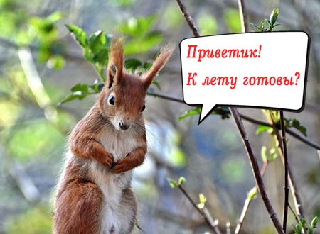 Гороскоп на неделю 25-31 МАЯ 2020 - 25-31 мая 2020 гороскоп.jpg