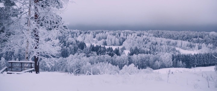 Бес Енарей, хозяин леса Maelinhon  - _2018_WEBRip-avi_snapshot_00-07-18_2020-02-17_20-17-53.jpg