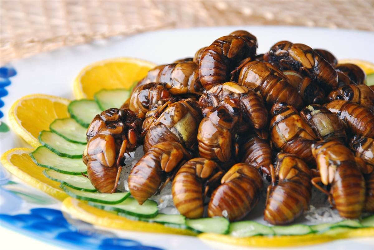 Блог mudder - ss-130410-cicada-invasion-11.ss_full (Копировать).jpg
