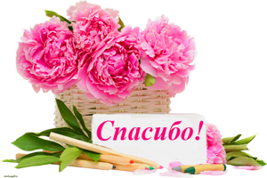 Благодарность S@ndr@ - 109601175_k4.png