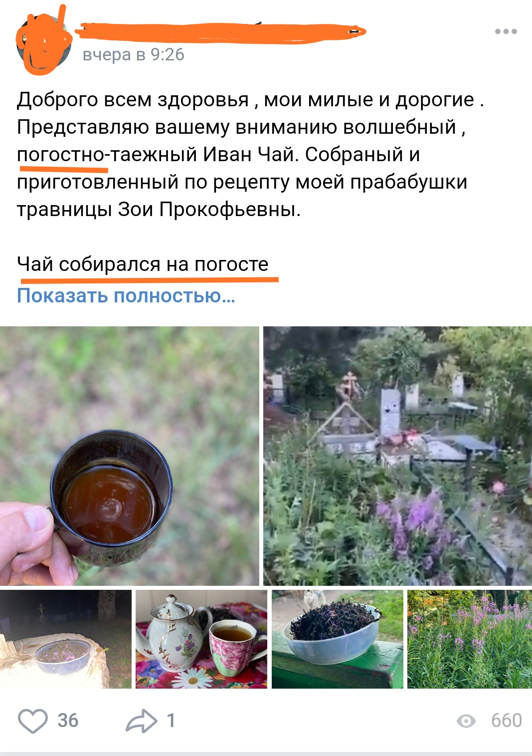 Чай с кладбища - IMG_20200715_112410.jpg