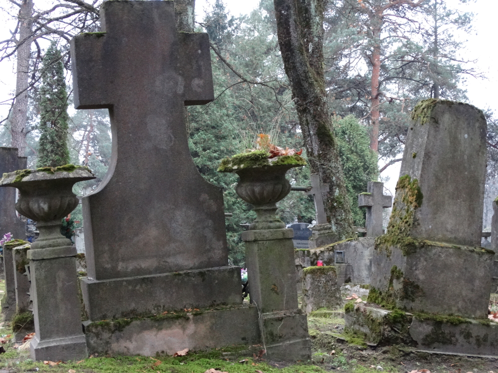 Блог Парцифаля - DSC08751.JPG