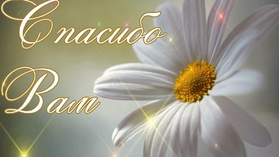 olya_ya - mir.jpg