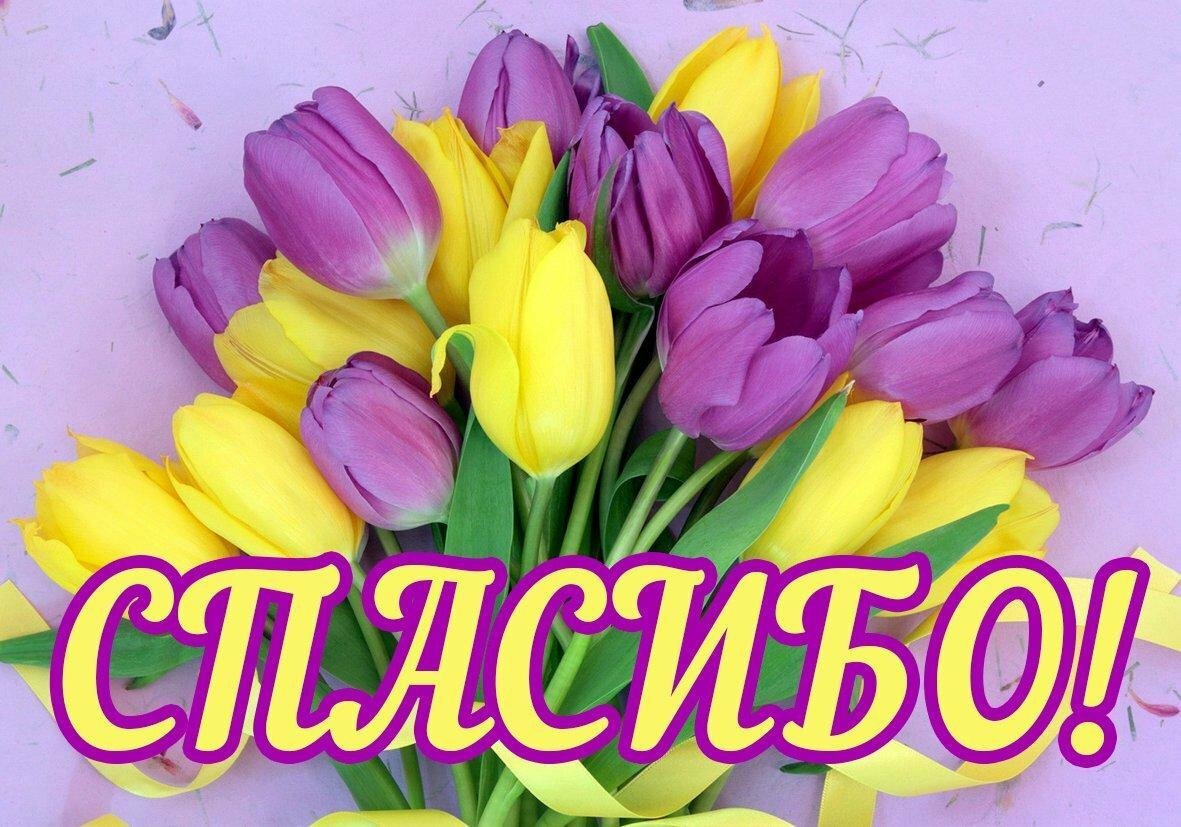 Положительные отзывы для ПрозерпинаR - СПАСИБО.jpg