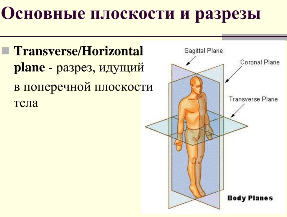 Блог mudder - 20201021_211557.jpg