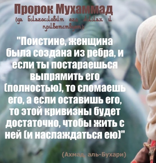 Блог mudder - 68e2b5c848de76ab0a635a6763938dcf.jpg