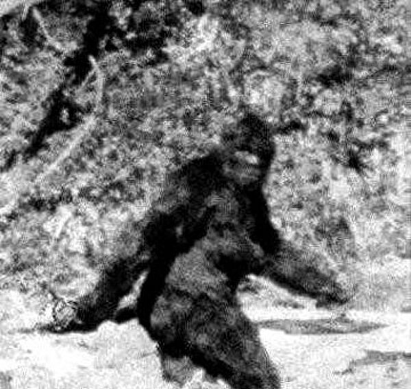 Блог mudder - 150460196_0_0_600_340_600x0_80_0_0_98ecd0958f3262c7a438bcf799401d7e.jpg