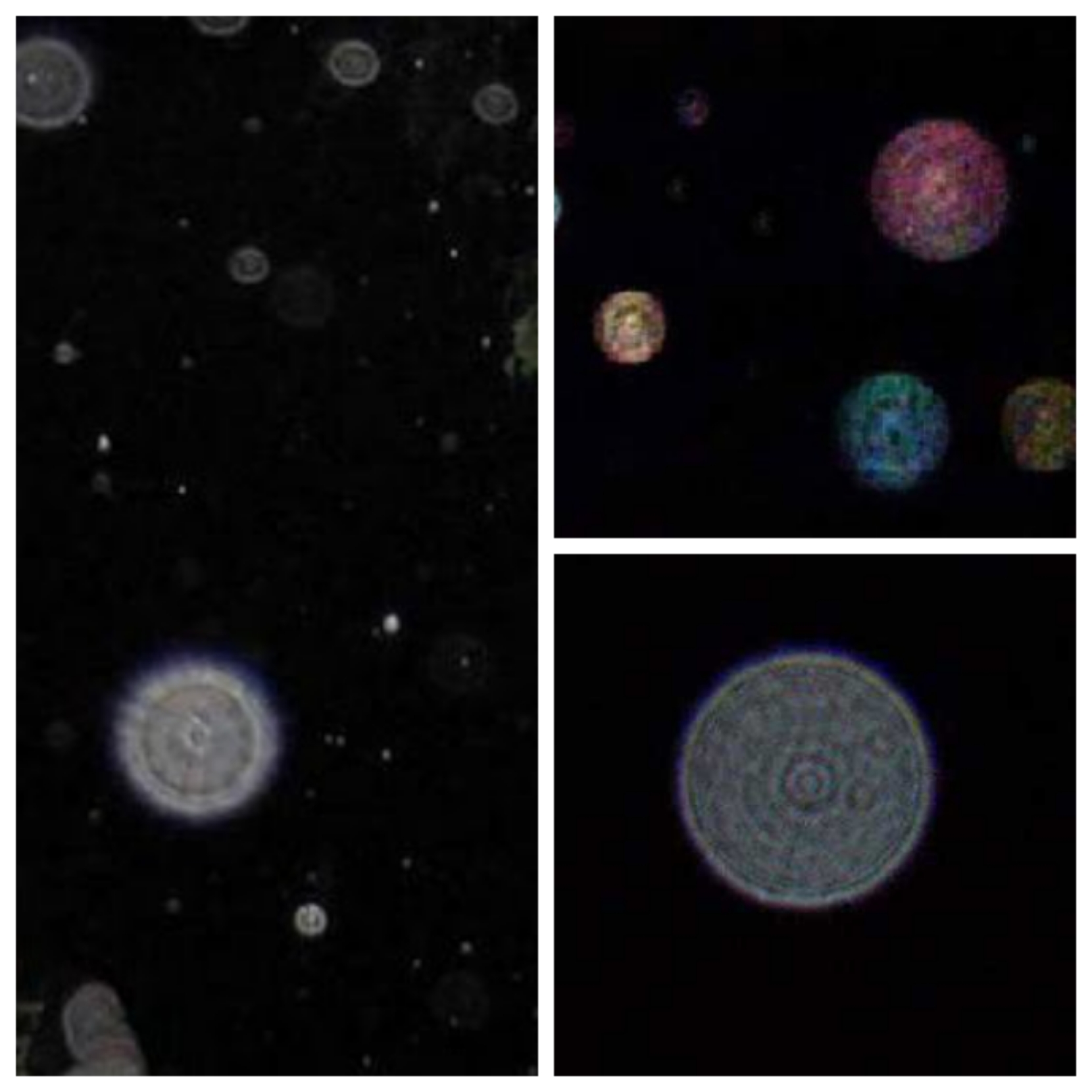 Блог mudder - img1604407168610.jpg