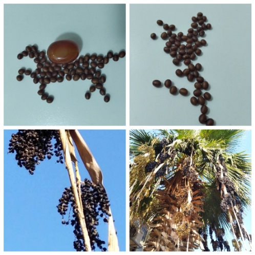 Блог mudder - Resizer_16044272079820.jpg