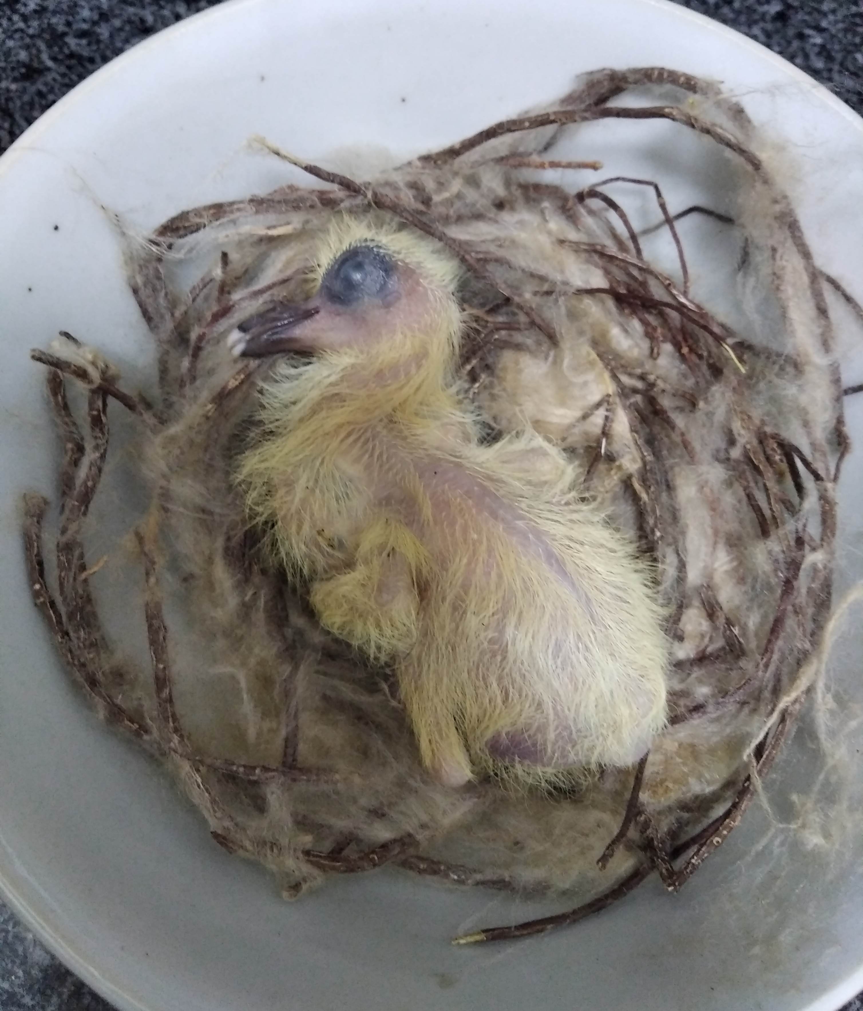 Блог mudder - IMG_20201103_185049.jpg