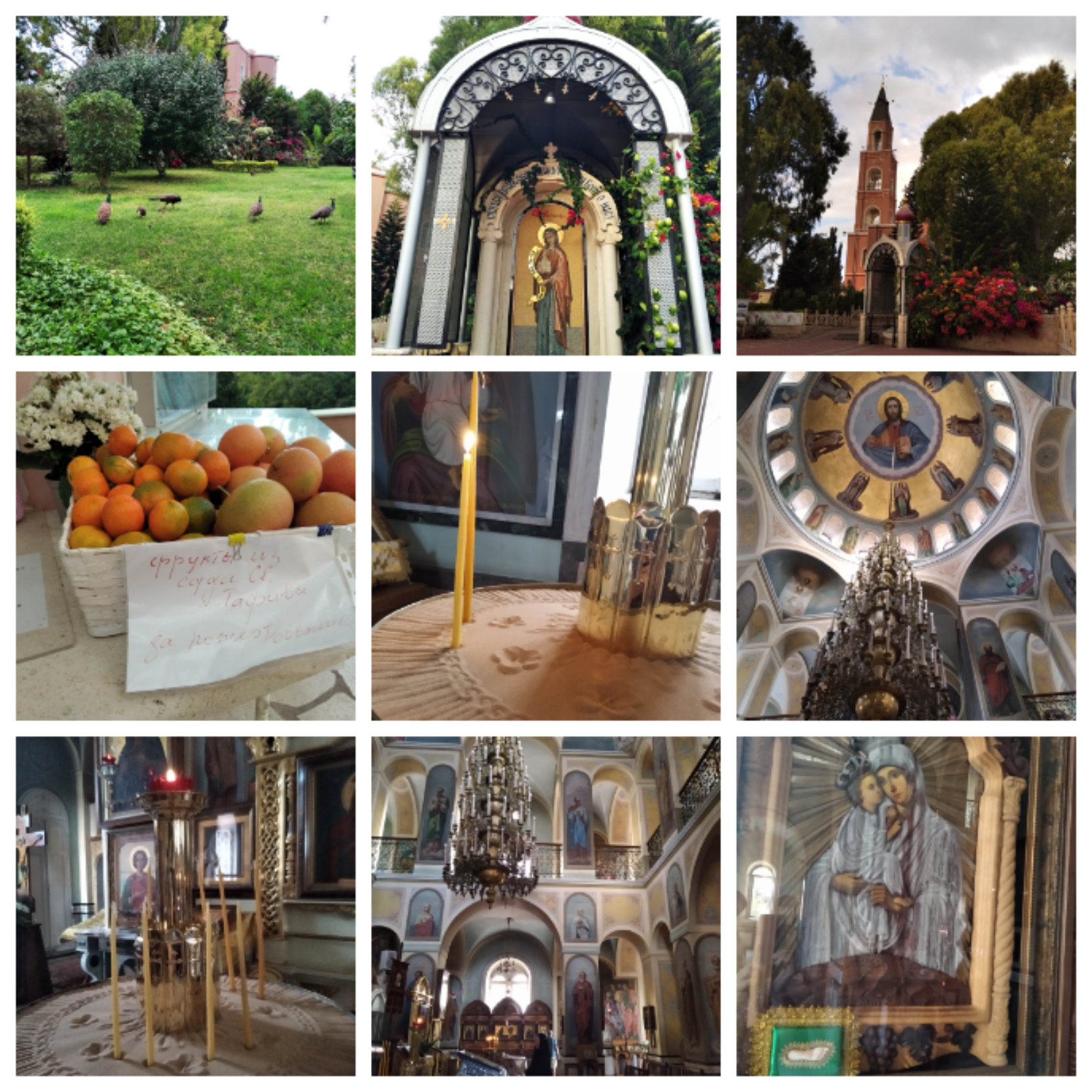 Блог mudder - img1604429612352.jpg